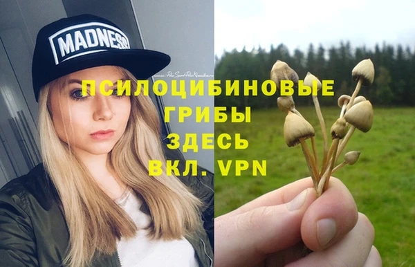 соль ск Алексин