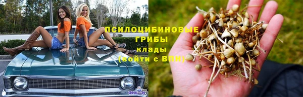 соль ск Алексин
