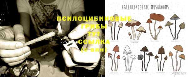 соль ск Алексин