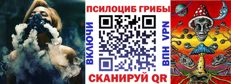 наркошоп  Зарайск  Галлюциногенные грибы Psilocybe 